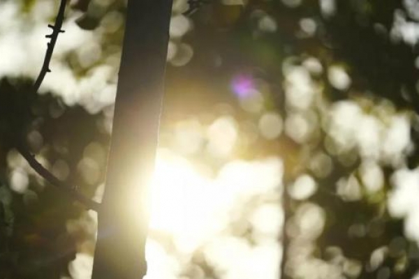 邓楚涵：直博选择基础科学，这位成电学子将热爱进行到底！