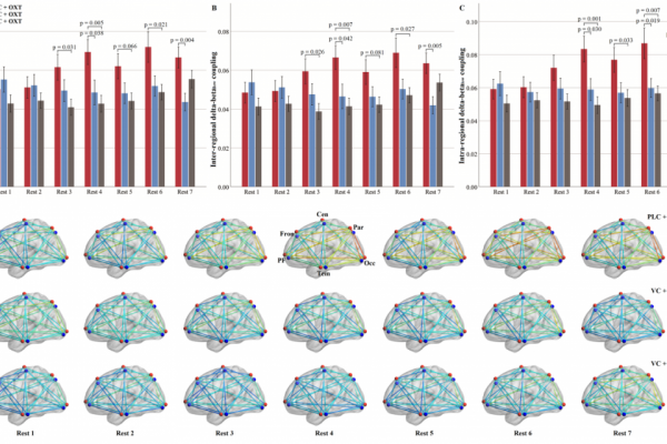 生命学院neuSCAN团队在神经科学与精神病学顶刊Molecular Psychiatry发表研究成果