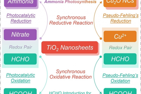 基础院董帆教授团队在Angewandte Chemie International Edition连续发表研究成果