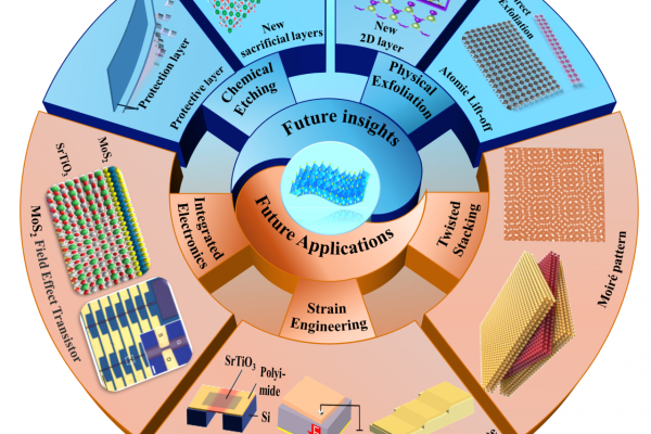 物理学院、电子薄膜与集成器件全国重点实验室在Progress in Materials Science上发表前瞻综述
